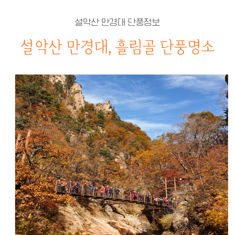 설악산 단풍 명소 만경대 흘림골 10월 코스 예약정보