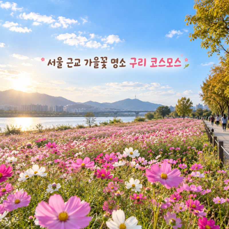 서울 근교 가을꽃 여기였네 2026 구리 코스모스축제 일정 구리시민한강공원 코스모스
