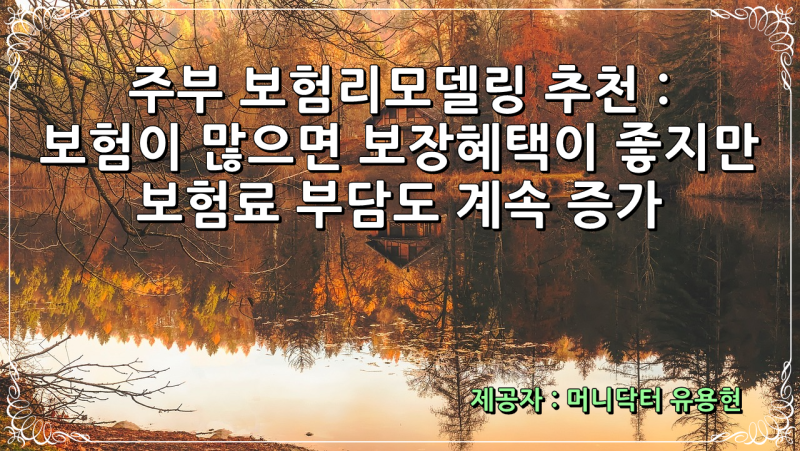 주부 보험리모델링 추천 : 보험이 많으면 보장혜택이 좋아지지만, 보험료 납입부담도 계속 ....