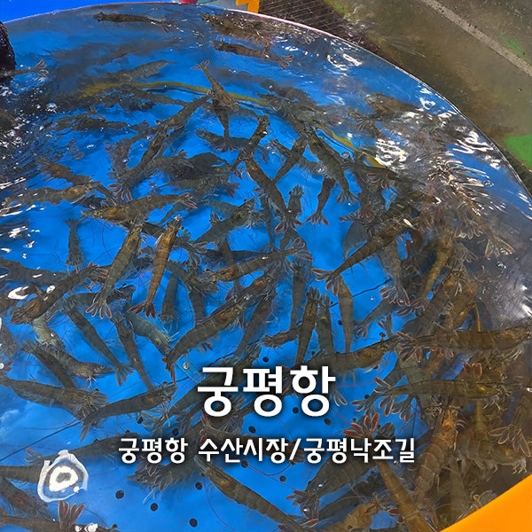 궁평항 꽃게 새우 시세, 궁평낙조길산책｜궁평항수산시장