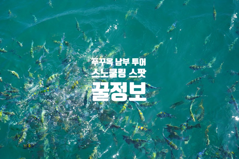 푸꾸옥 남부 스노쿨링 투어 스팟 정보 일정 비용 준비물