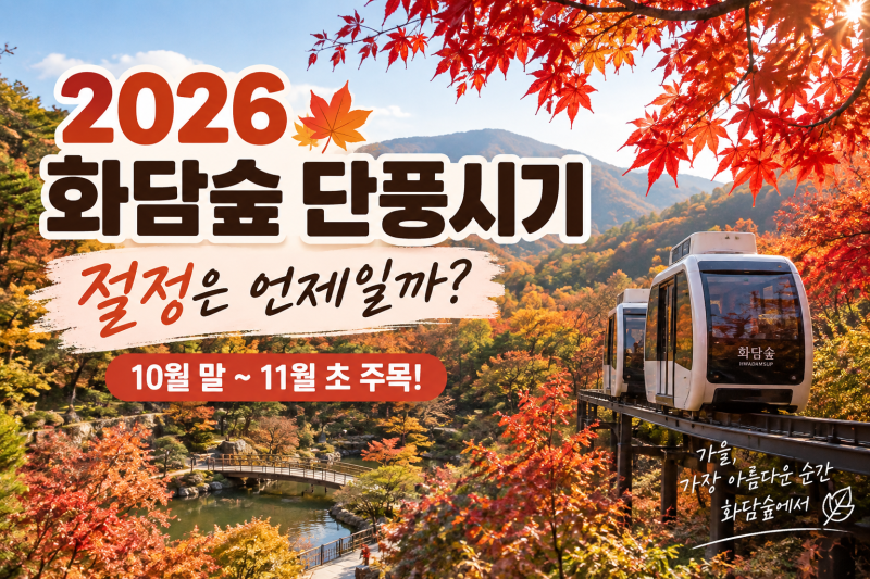 화담숲 예약 방법ㅣ2026 단풍 절정시기·입장료·모노레일 이용방법 총정리
