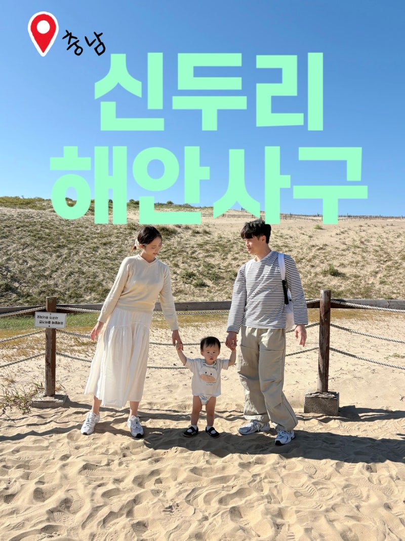 충남 태안 여행 코스 아기랑 걷기 좋은 가볼만한곳│신두리해안사구(유모차)