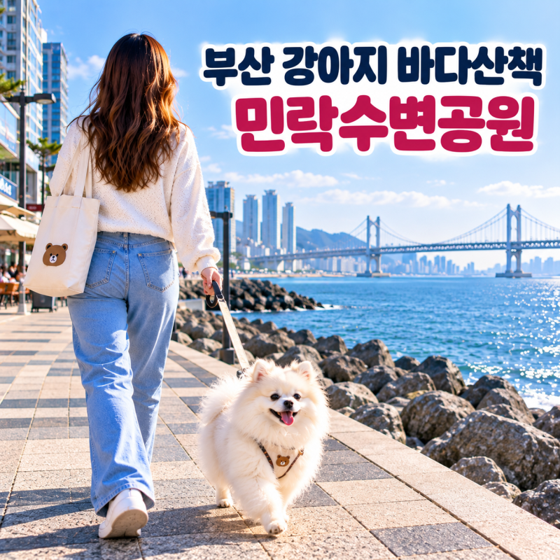 부산 광안리 강아지 산책, 민락수변공원에서 포메와 바다 따라 걷기