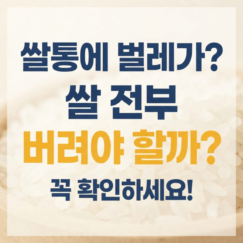 쌀통 열었는데 작은 벌레가 보인다면? 쌀 전부 버려야 할까