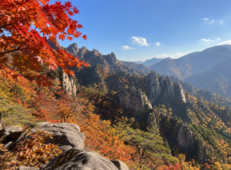 2026 설악산 단풍시기, 추석에 가려고 했는데 아직 이르대요