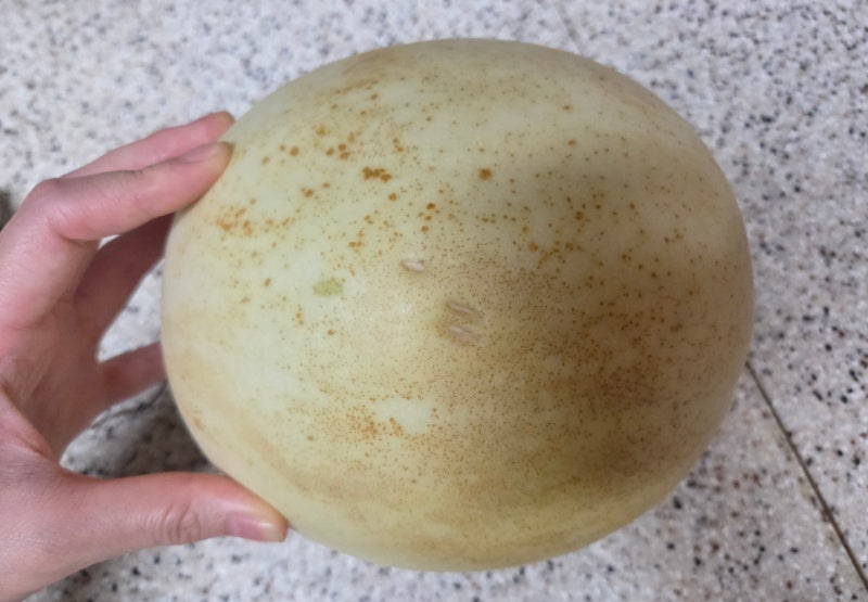 허니듀메론 후숙,  손질방법 (손질꿀팁, 잘고르는법)