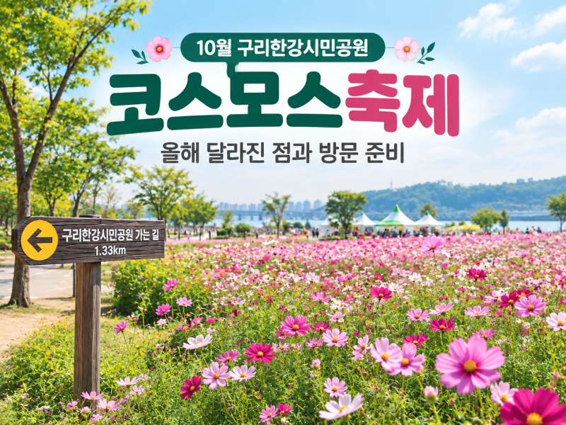 10월 구리한강시민공원 코스모스축제｜올해 달라진 점과 방문 준비