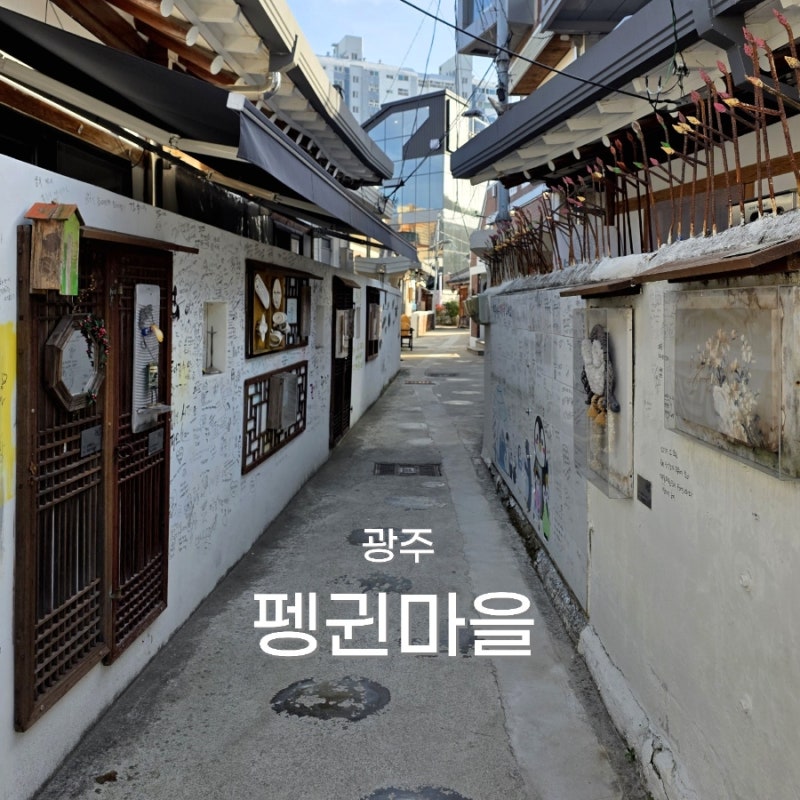 Gwangju Penguin Village, Jeollado | A Must-Visit if You're Looking for a Unique Travel Destination