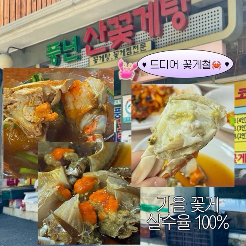 인천 꽃게맛집 송도 풍년꽃게｜가을 꽃게철 산꽃게찜·간장게장 코스 (40년 전통)
