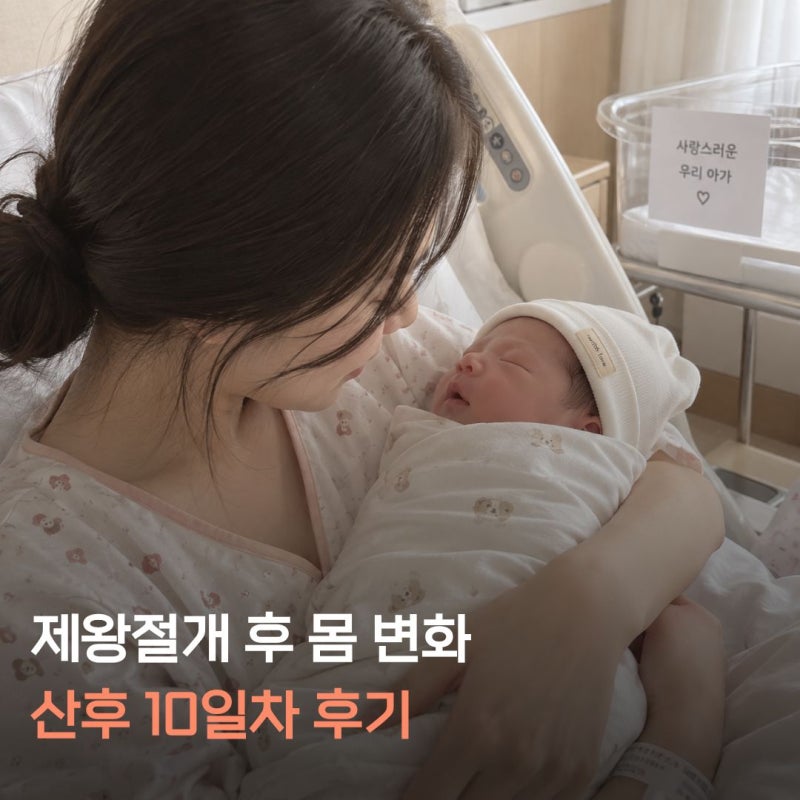 제왕절개 후 몸 변화 총정리｜산후 10일차 회복 (오로·후진통·골반통증)