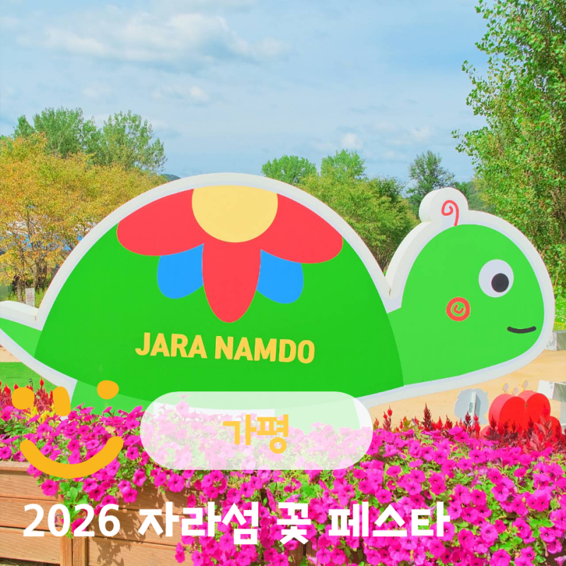 2026 가을 바로마켓 가평점 자라섬 꽃 페스타 주차 경기도 축제 애견동반 서울근교 당일치기 ....