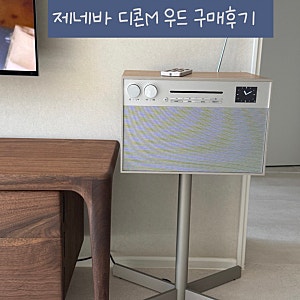 [제네바] 디콘 M 내돈내산 후기｜디자인부터 음질, 블루투스 연결까지