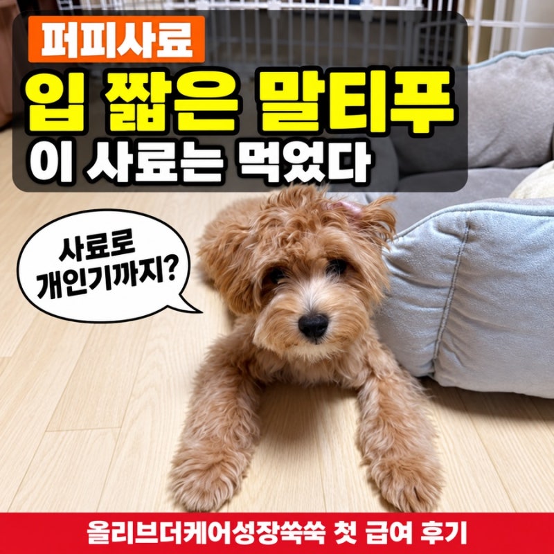 [퍼피사료] 올리브더케어성장쑥쑥 입 짧은 말티푸 첫 급여