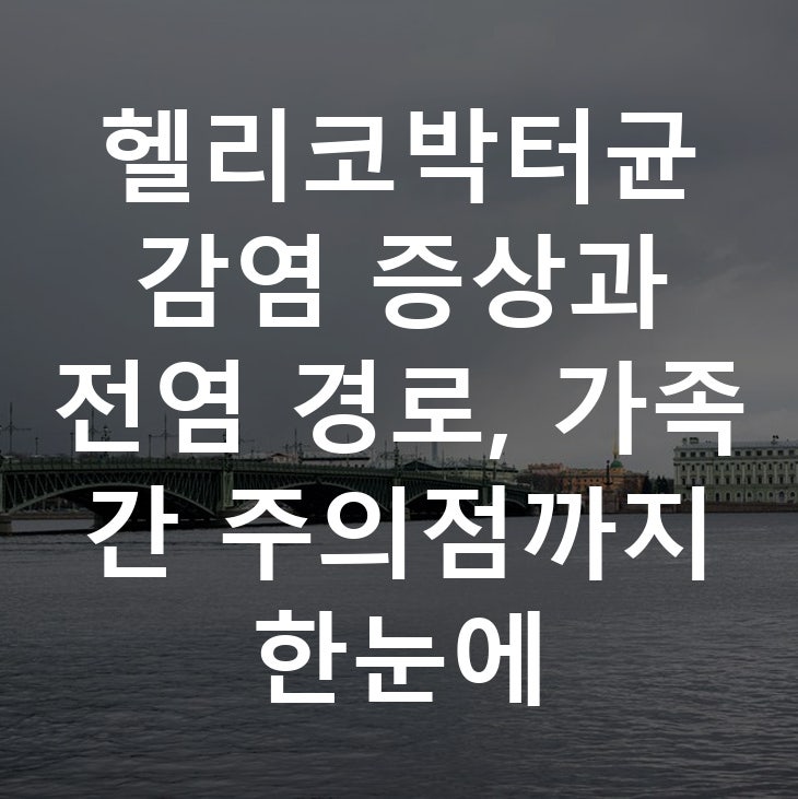 헬리코박터균 감염 증상과 전염 경로, 가족 간 주의점까지 한눈에