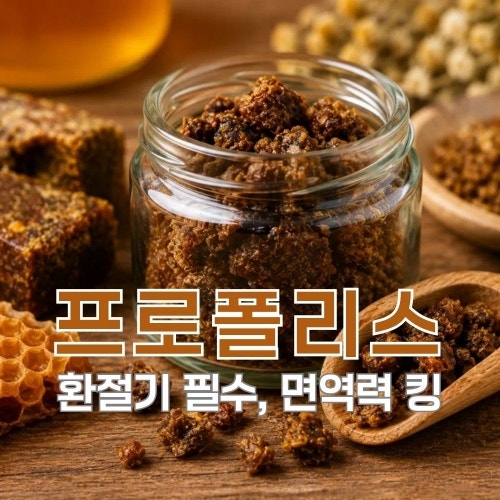 프로폴리스효능 5가지와 프로폴리스원액 복용법, 부작용 총정리