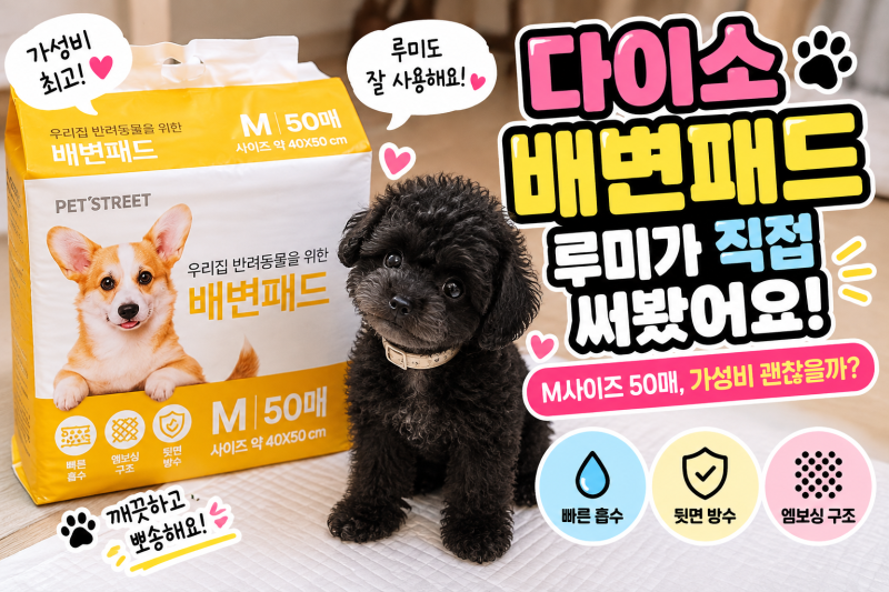 다이소 강아지 배변패드 사용후기｜펫 배변패드 M 50매 가성비 괜찮을까?