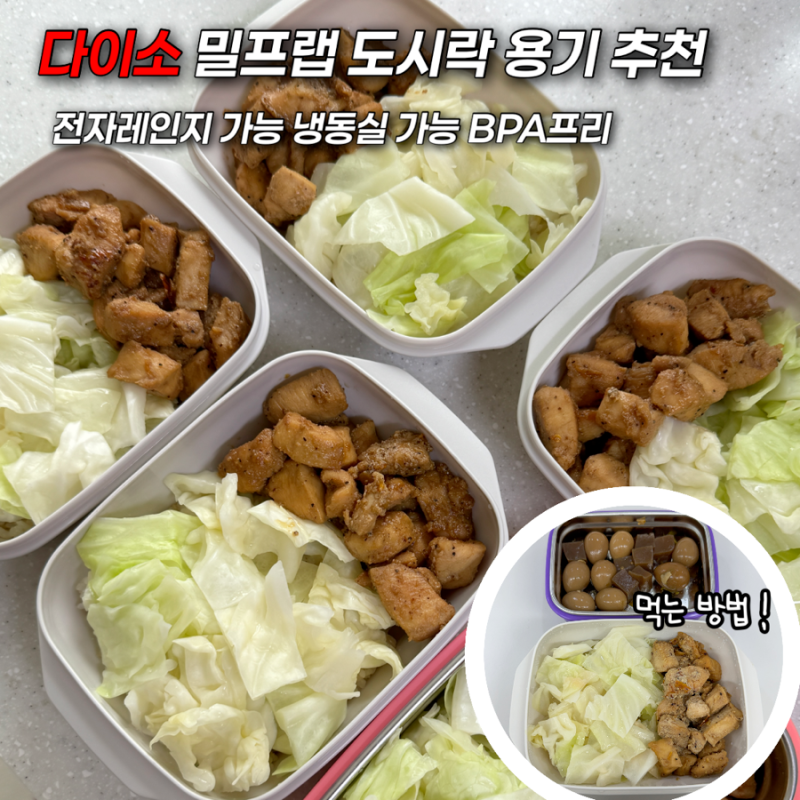 다이소 밀프랩 도시락 용기 추천 | 일주일 식단 냉동실 보관 전자레인지 해동 꿀팁