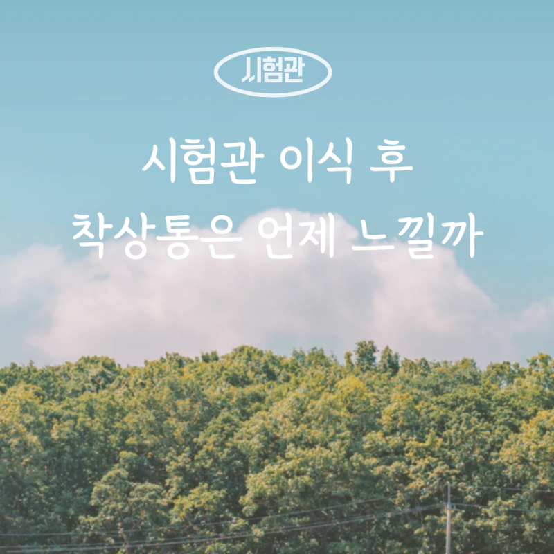 시험관 이식 후 착상통 착상혈 언제 느낄까 ㅣ 무증상도 임신이 될 수 있나?