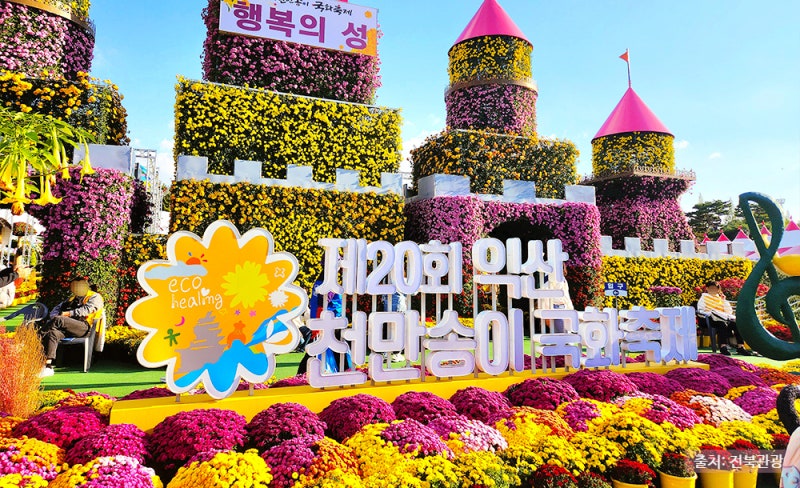 2026 익산 천만송이국화축제 일정 기본정보 꿀팁까지! 가을 당일치기 낭만 여행 코스 총정리