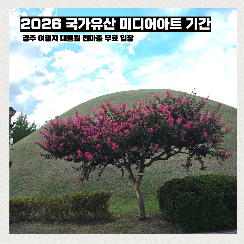 2026 국가유산 미디어아트 기간 경주 여행지 대릉원 포토존 시간 천마총 입장료 무료