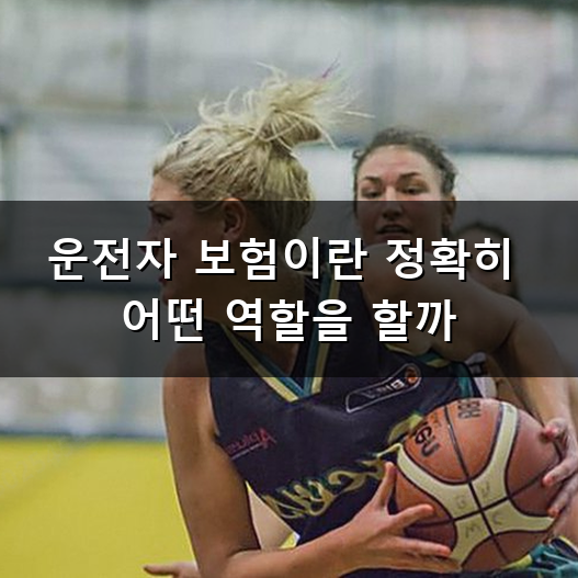 운전자 보험 가입 언제 하는 게 좋을까 남모를 고민 해결 방법