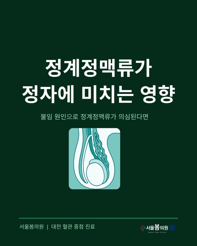 대전 정계정맥류 원인 불임이 의심된다면 | 서울봄의원
