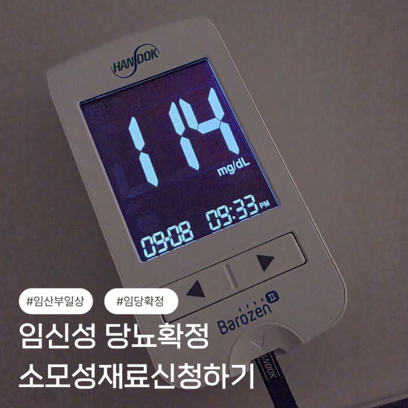 임신성 당뇨 확정 후 해야 할 일｜혈당측정기 소모성재료 건강보험공단 신청방법