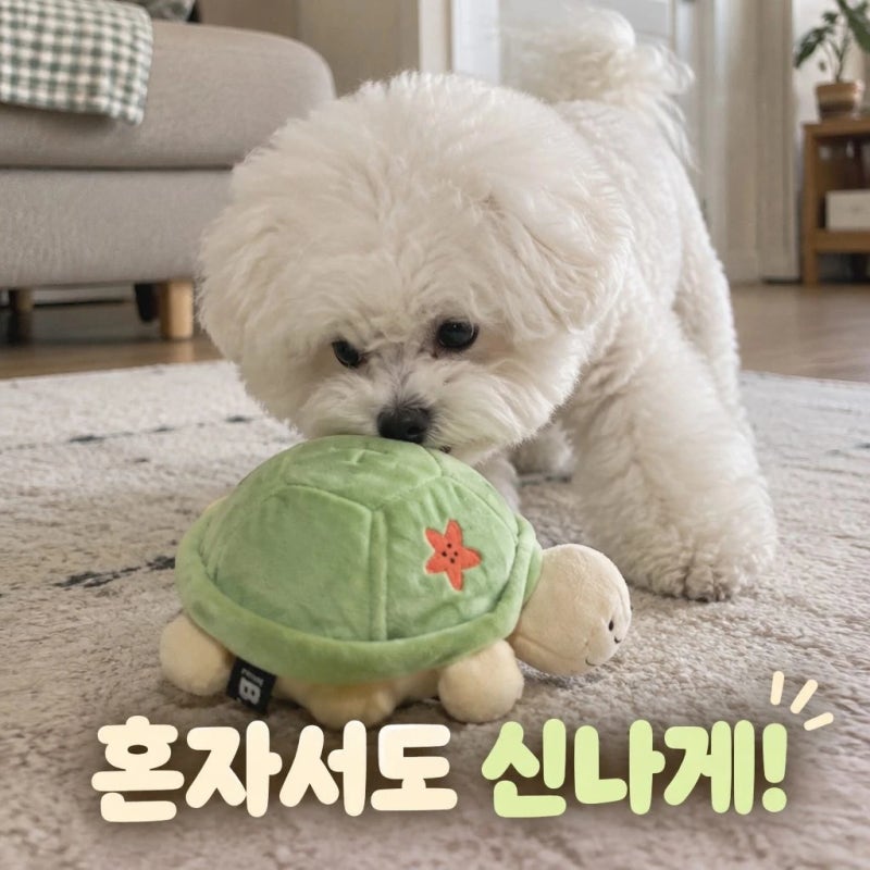 바잇미 점핑부기 강아지 노즈워크 장난감, 간식 찾기에 움직임까지