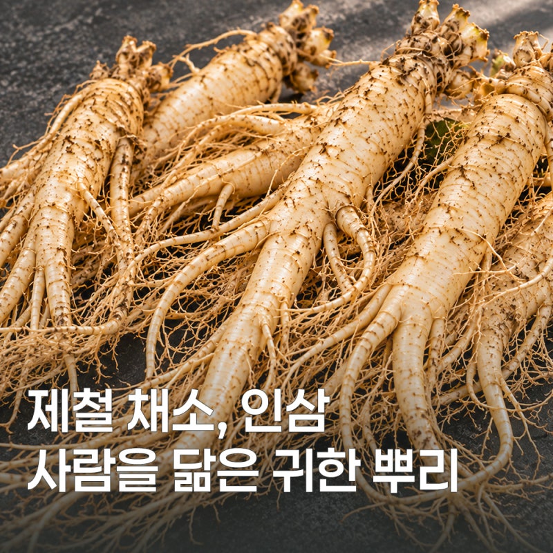 뿌리 깊은 보양식, 인삼 효능부터 먹는 법까지