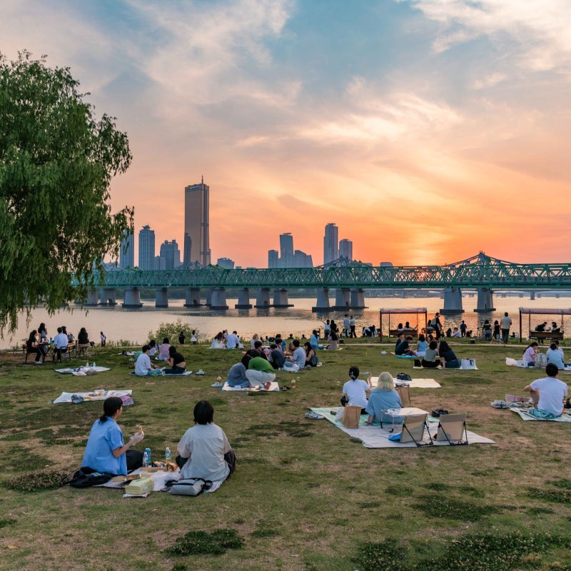 "한강 피크닉 할 곳 하나 더 생겼습니다" 노들섬 수변공원 개방 달라진 점은?