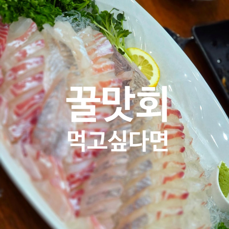 안산 횟집 회가 제대로인 초장집 선부점
