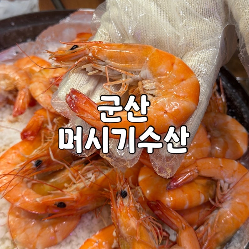 군산 조촌동 횟집 추천 머시기수산 대하구이 산오징어회 맛집