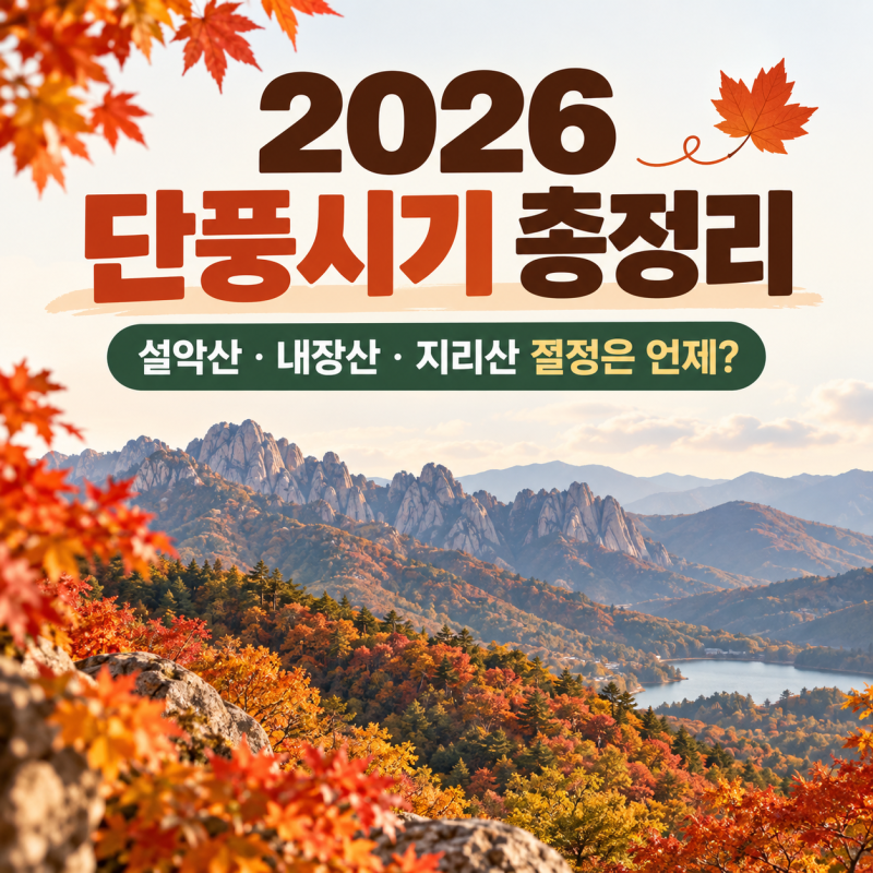 2026 단풍시기 총정리｜설악산·내장산·지리산 절정은 언제?
