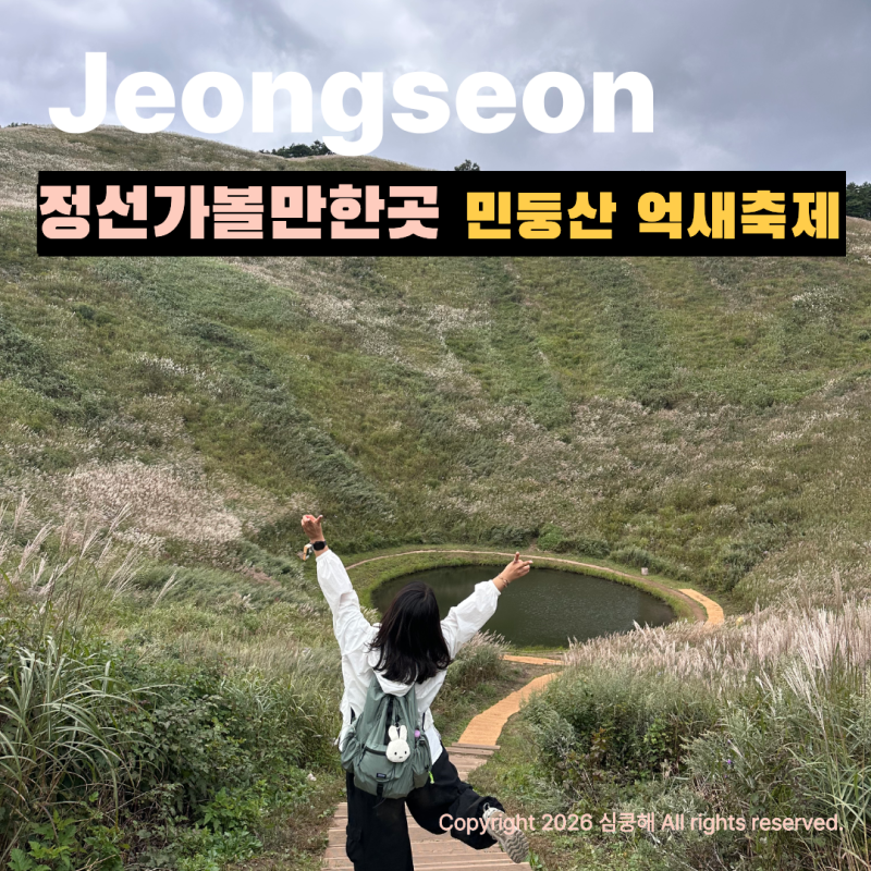 정선민둥산 민둥산억새축제 10월가볼만한곳 강원도정선가볼만한곳 가을 여행 완벽 정리 (26.....
