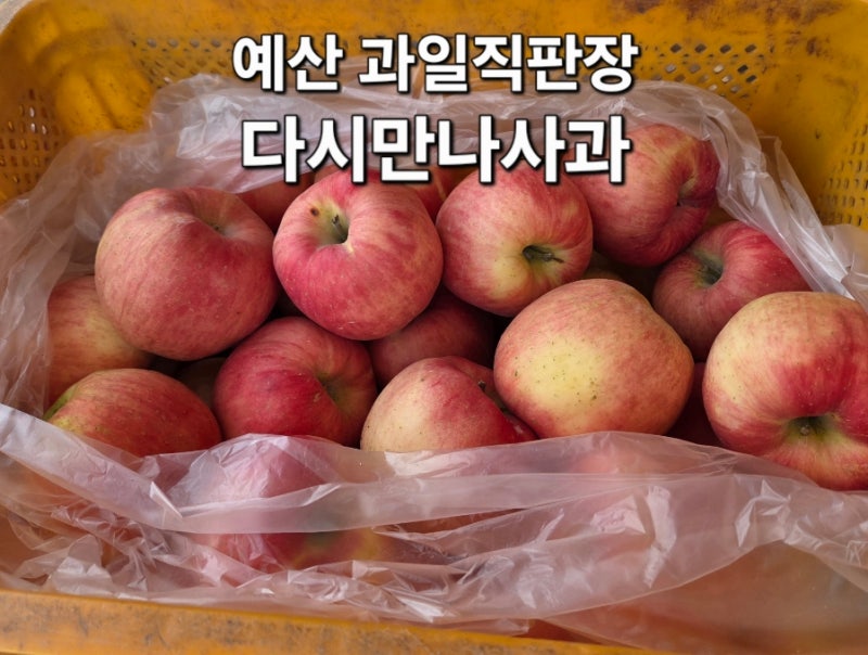 예산여행 과일직판장 영산농원 홍로 못난이사과 가격