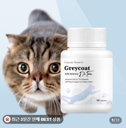 야옹섬 닥터토루 AIM 고양이 신장 영양제 노령묘 신장관리 급여 후기