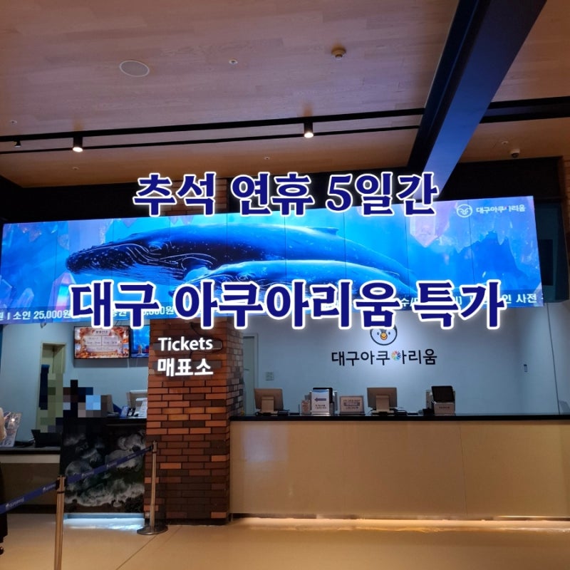 대구 아쿠아리움 할인 추석연휴 가볼만한곳 5일 특가 19,900원 신세계백화점
