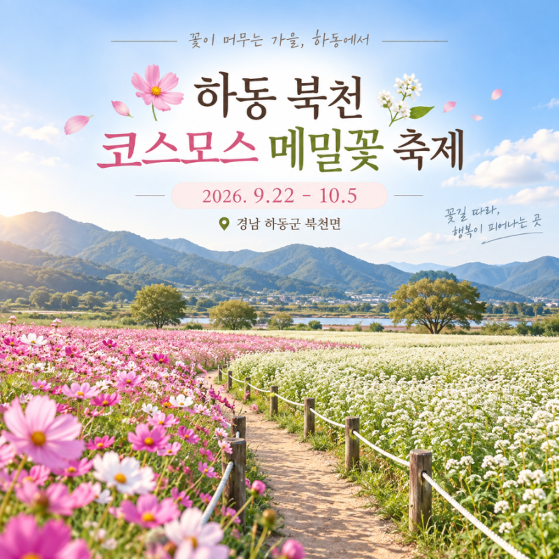 2026 하동 북천 코스모스 메밀꽃 축제 일정 | 기간·입장료·주요 프로그램·주차 정보