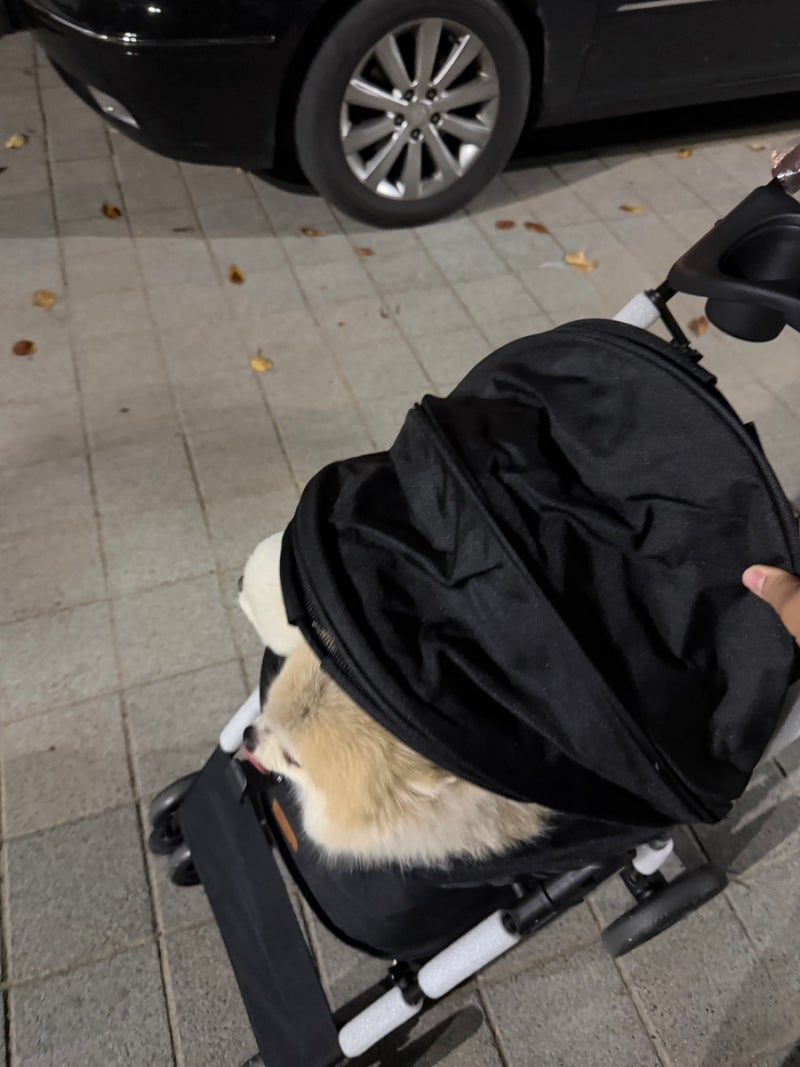 레토 강아지유모차 실제 사용 후기, 강아지 산책할 때 편하게 쓰는 개모차