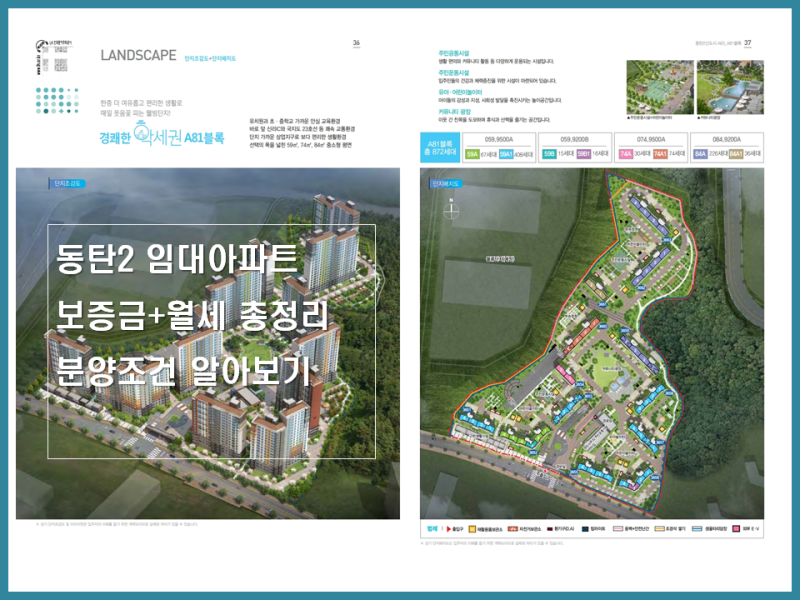 동탄2 A81블록 공공임대 아파트｜59·74·84㎡ 보증금·분양전환·신청자격 총정리
