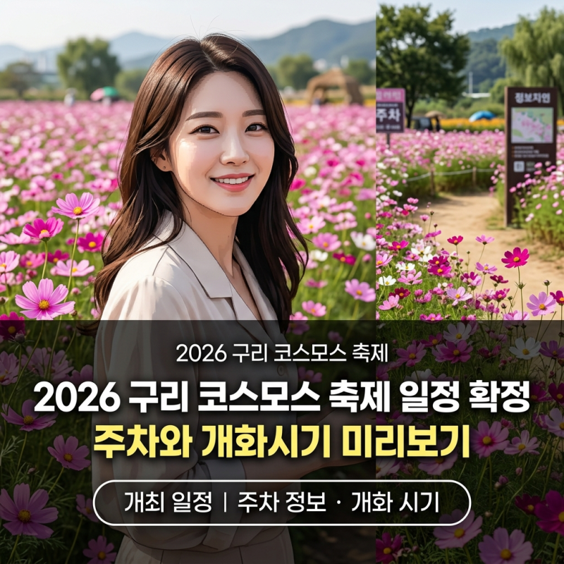 2026 구리 코스모스 축제 일정 확정, 주차와 개화시기 미리보기