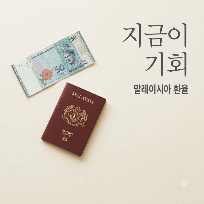 "한 달 전보다 5만원 이득?" 말레이시아환율 급락에 여행객들 난리 난 이유..