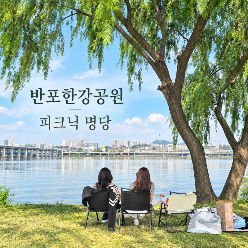 반포한강공원 피크닉 명당, 한강뷰 그늘자리 준비물 주차정보
