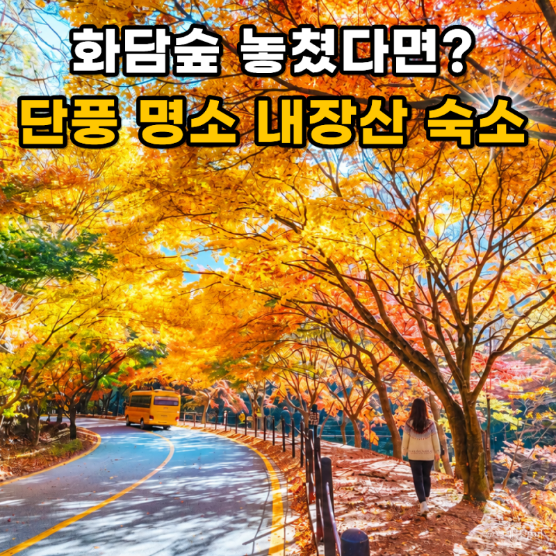 내장산 단풍 절정시기 2026 숙소 어디가 좋을까 11월 여행 추천