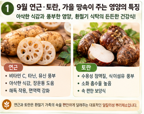 가을 연근·토란의 모든 것｜아린 맛 싹 빼는 손질법과 갈변 없는 보관 꿀팁