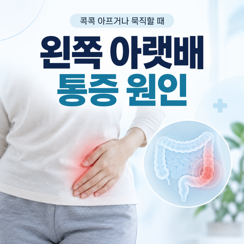 왼쪽 아랫배 통증 원인, 콕콕 아프거나 묵직한 느낌이 든다면?