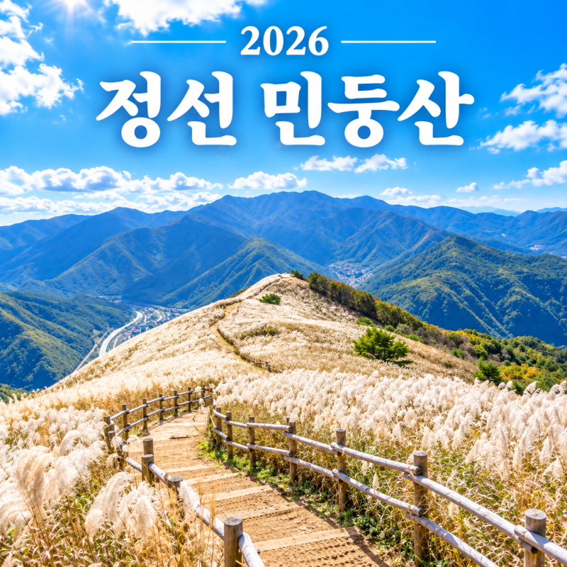 2026 정선 민둥산 억새축제 / 기간 주차 / 등산코스 / 정선 가볼만한곳