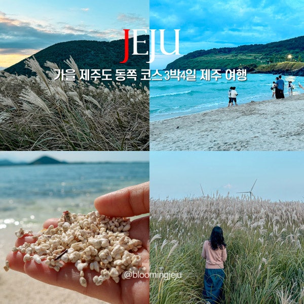 가을 제주도 동쪽 코스 3박 4일 제주 여행
