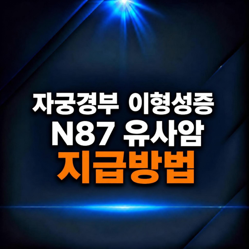 질병코드 N87 자궁 경부 이형성증 유사암으로 지급 받기